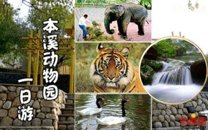 本溪團購網 本溪團購網