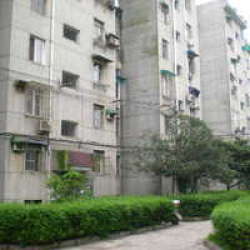 桃葉渡小區 桃葉渡小區