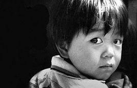 打拐DNA數據 打拐DNA數據