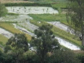 長老塘村 長老塘村