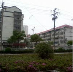 孫蔣新村 孫蔣新村