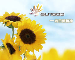 日神-向日葵精神