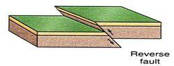 逆斷層