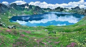 長白山西坡 長白山西坡