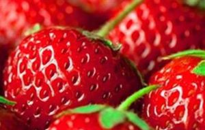 呈祥草莓園 呈祥草莓園