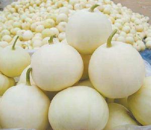 白山蜜一號 白山蜜一號