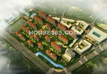 安徽偉星置業有限公司