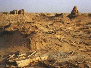 山普拉古墓 山普拉古墓