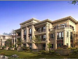 君熙太和 君熙太和