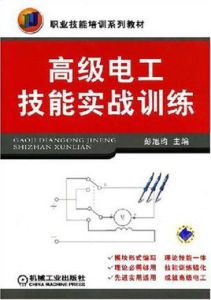 高級電工技能實戰訓練 高級電工技能實戰訓練