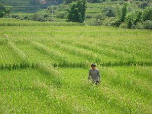安常村[呂合鎮錢糧村委會行政村下轄村]