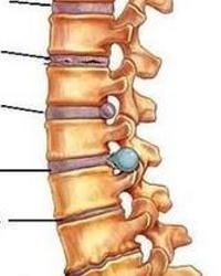 下肢發涼 下肢發涼