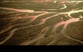 網狀河相 網狀河相