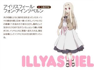 Fate[廣山弘作畫的外傳漫畫]