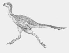 原始祖鳥 原始祖鳥