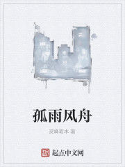 孤雨風舟 孤雨風舟