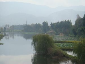 前楊官營村 前楊官營村