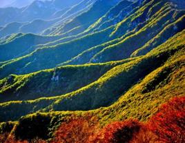 都山森林公園 都山森林公園
