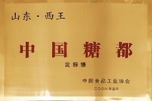 山東省西王集團