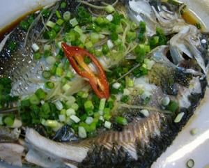 蔥油蒸鯽魚 蔥油蒸鯽魚