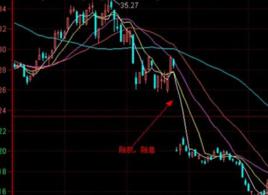 除權除息日 除權除息日