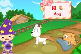 幫幫小動物 幫幫小動物