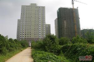 錦繡同升實景圖