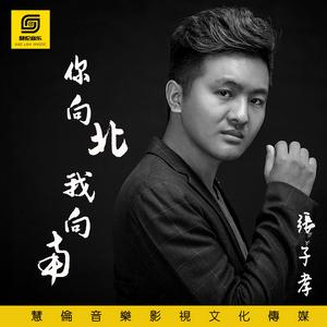 你向北我向南 你向北我向南