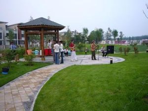 宅旁綠地 宅旁綠地