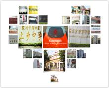 青少年脊柱側彎校園普查