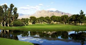 (圖)沙漠中的綠洲