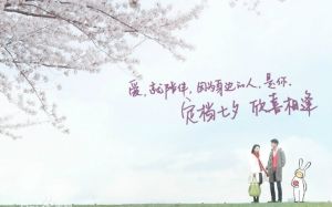 陪安東尼度過漫長歲月