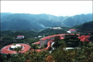 雁南飛茶田旅遊景區 雁南飛茶田旅遊景區