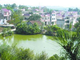 紅衛村[廣東省惠州市惠陽區新圩鎮紅衛村]