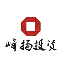 安徽峰揚投資管理有限公司