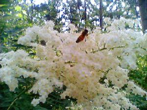 惰性知識 惰性知識