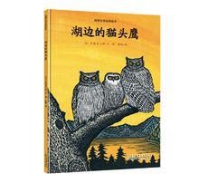 《湖邊的貓頭鷹》封面