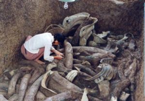 三星堆祭祀器物坑 三星堆祭祀器物坑