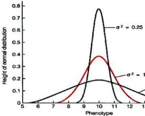 標準方差 標準方差