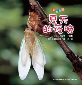 夏天的夜晚 夏天的夜晚
