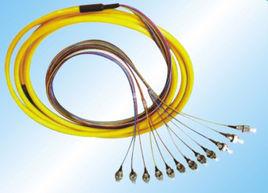 束狀尾纖 束狀尾纖