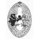 闊盤吸蟲病 闊盤吸蟲病