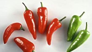 辣椒種子飲 辣椒種子飲