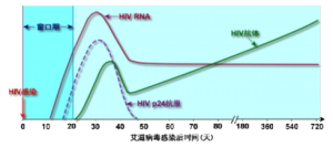hiv生物標記物出現時間