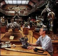 恐龍復活 恐龍復活