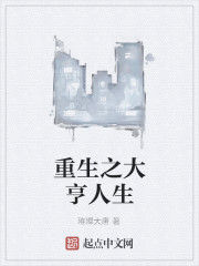 重生之大亨人生 重生之大亨人生