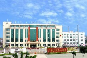 廣西三環企業集團股份有限公司 廣西三環企業集團股份有限公司