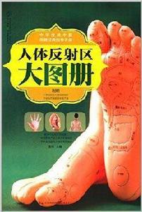 人體反射區大圖冊