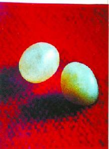 唐代舍利寶函 唐代舍利寶函