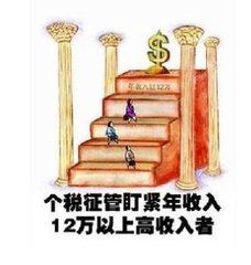 稅收替代效應 稅收替代效應